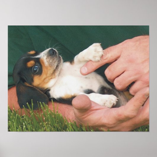 Beste vriend van man poster (Voorkant)