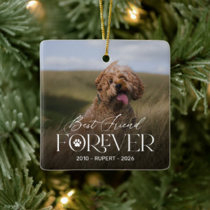 Beste Vriend Voor Altijd Hond Gedenk Ornament