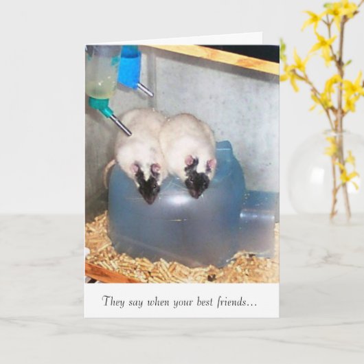 Beste Vrienden 1 Kaart (Gele Bloem)