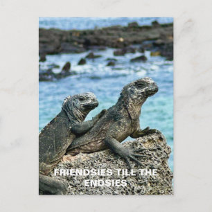 Beste Vrienden Ansichtkaart Briefkaart