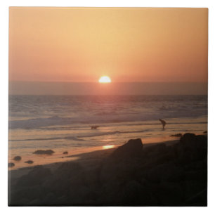 Beste vrienden bij het strand tegeltje