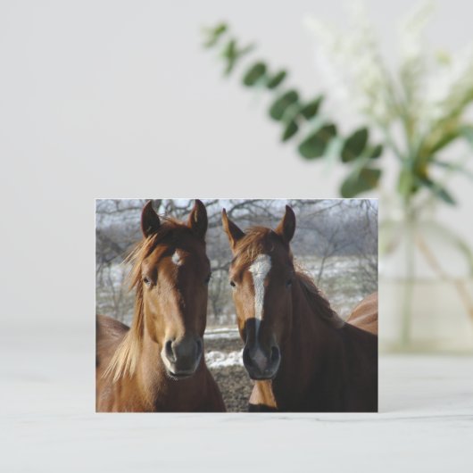 Beste vrienden briefkaart (Staand voorkant)