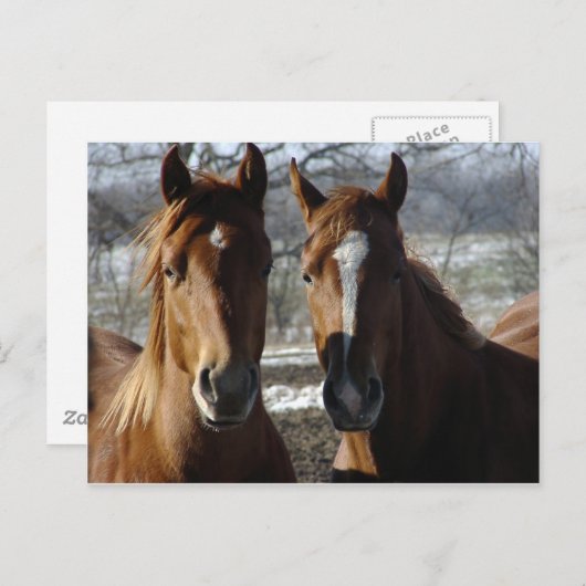 Beste vrienden briefkaart (Voorkant / Achterkant)