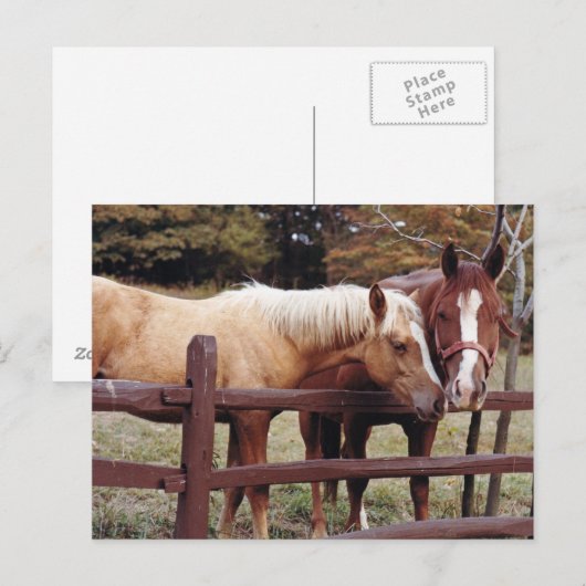 Beste vrienden briefkaart (Voorkant / Achterkant)