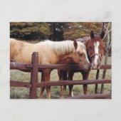 Beste vrienden briefkaart (Voorkant)