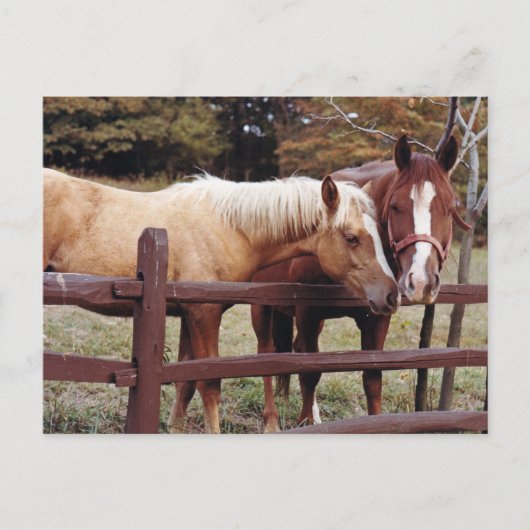 Beste vrienden briefkaart (Voorkant)