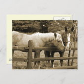 Beste vrienden briefkaart (Voorkant / Achterkant)