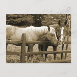 Beste vrienden briefkaart