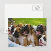 Beste vrienden briefkaart (Voorkant / Achterkant)