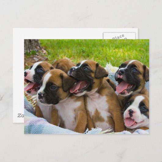 Beste vrienden briefkaart (Voorkant / Achterkant)