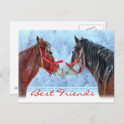 Beste Vrienden Briefkaart (Voorkant / Achterkant)