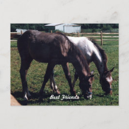 Beste vrienden briefkaart