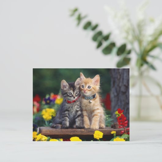 Beste Vrienden Briefkaart (Staand voorkant)