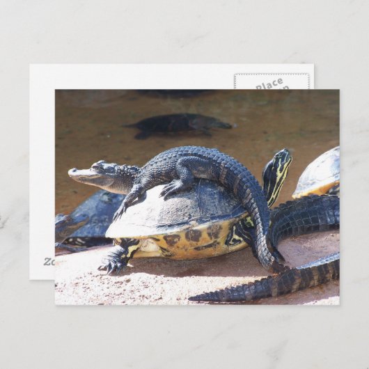 Beste Vrienden Briefkaart (Voorkant / Achterkant)