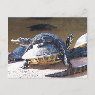 Beste Vrienden Briefkaart