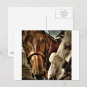 Beste vrienden briefkaart (Voorkant / Achterkant)