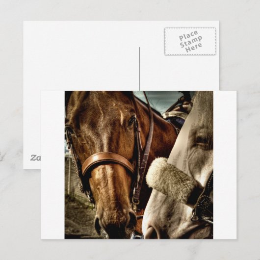 Beste vrienden briefkaart (Voorkant / Achterkant)