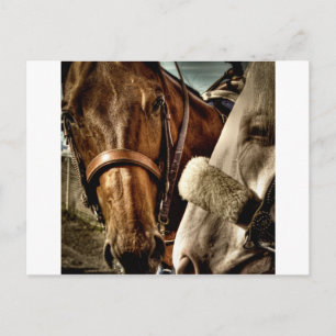 Beste vrienden briefkaart