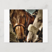 Beste vrienden briefkaart (Voorkant)