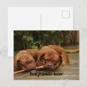 Beste vrienden briefkaart (Voorkant / Achterkant)