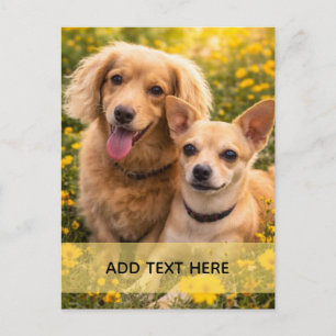 Beste vrienden Dachshund en Chiweenie VOEG JE TEKS Briefkaart