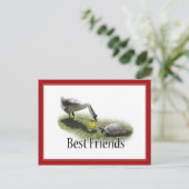 Beste vrienden - De schildpad en de gans Briefkaart (Staand voorkant)