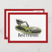 Beste vrienden - De schildpad en de gans Briefkaart (Voorkant / Achterkant)