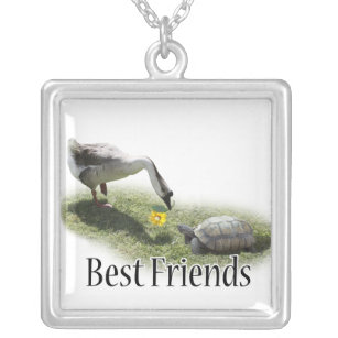 Beste vrienden - De schildpad en de gans Zilver Vergulden Ketting