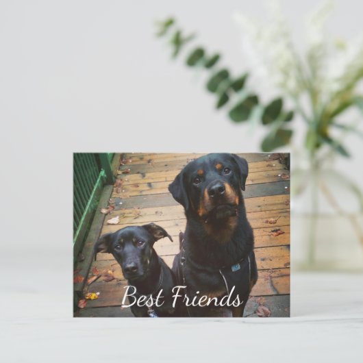 Beste vrienden Doggie Your Words Afbeelding Tampla Briefkaart (Staand voorkant)