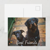 Beste vrienden Doggie Your Words Afbeelding Tampla Briefkaart (Voorkant / Achterkant)