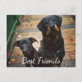 Beste vrienden Doggie Your Words Afbeelding Tampla Briefkaart (Voorkant)