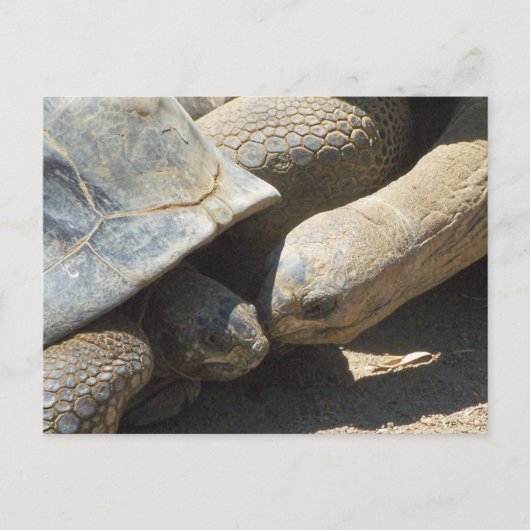 Beste vrienden Forever Briefkaart (Voorkant)