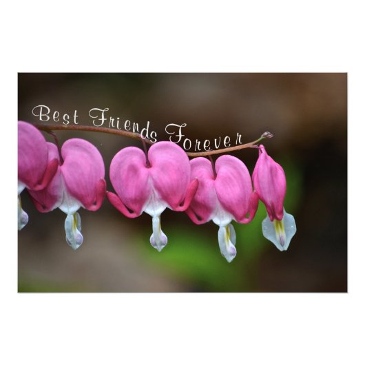 Beste vrienden Forever Foto Afdruk (Voorkant)