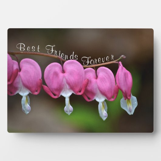 Beste vrienden Forever Fotoplaat (voorkant)