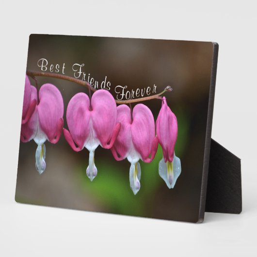 Beste vrienden Forever Fotoplaat (Zijkant)