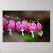 Beste vrienden Forever Poster (Voorkant)