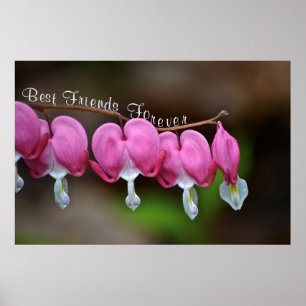 Beste vrienden Forever Poster