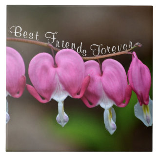 Beste vrienden Forever Tegeltje