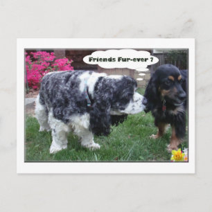 Beste vrienden Fur-ever Briefkaart