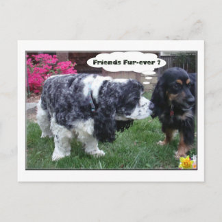 Beste vrienden Fur-ever Briefkaart
