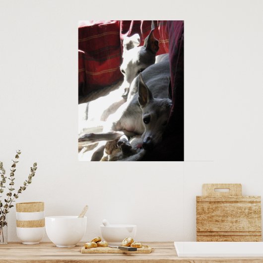 "Beste vrienden" italiaanse windfoto Poster (Keuken)