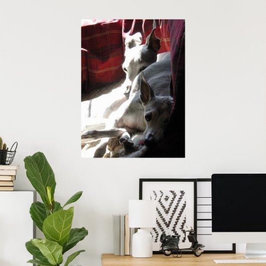 "Beste vrienden" italiaanse windfoto Poster (Thuiskantoor)