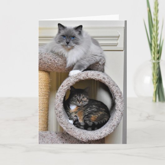 Beste Vrienden, kaart (Voorkant)