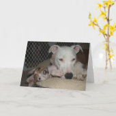 Beste Vrienden… Kaart (Gele Bloem)