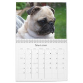 Beste vrienden kalender (Mar 2026)