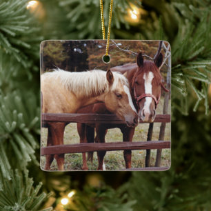 Beste vrienden keramisch ornament