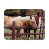 Beste vrienden magneet (Horizontaal)