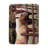 Beste vrienden magneet (Verticaal)