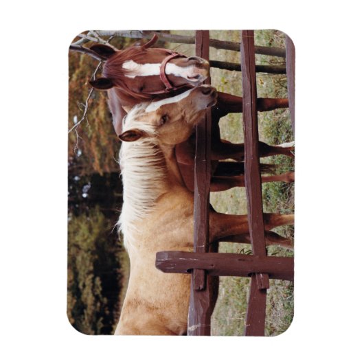 Beste vrienden magneet (Verticaal)