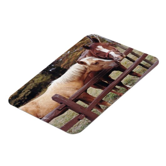 Beste vrienden magneet (Linkerzijde)